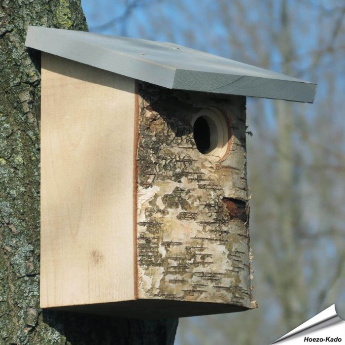 Birkenholz-Nistkasten für Kohlmeisen | 32mm Einflugöffnung