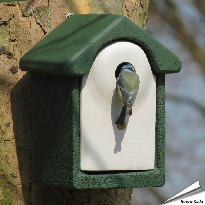 Holzbeton Nistkasten für Blaumeisen kaufen? | Online-Shop Alles für Vögel