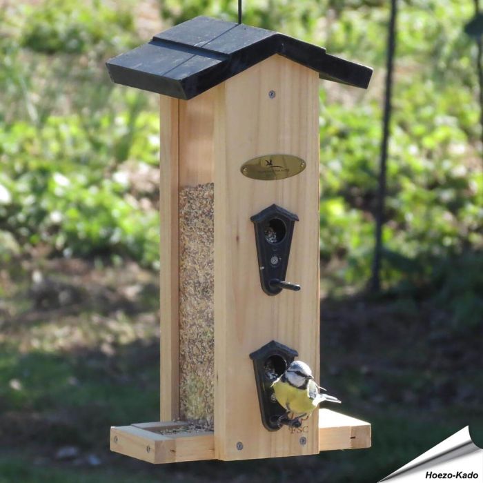 Wie kann ich Wildvögel im Garten füttern? | Alles für Vögel