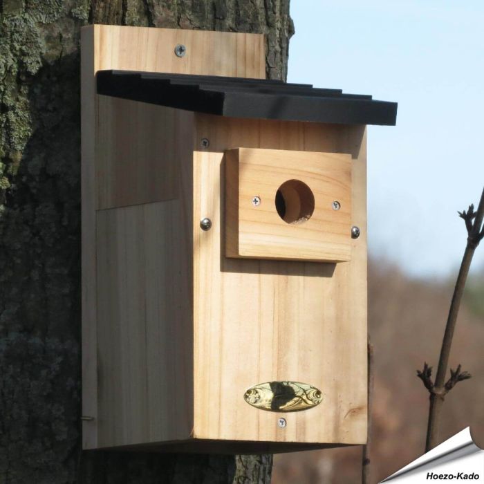 Nistkasten aus Holz für Kohlmeisen 32mm | Nesträuberschutz