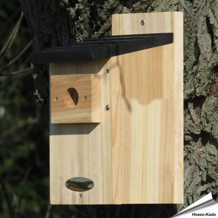 Nistkasten aus Holz für Blaumeisen 28mm | Nesträuberschutz