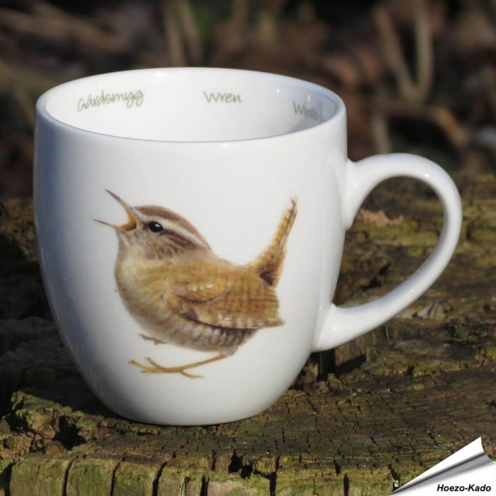 Mok - Winterkoning 'Elwin van der Kolk'