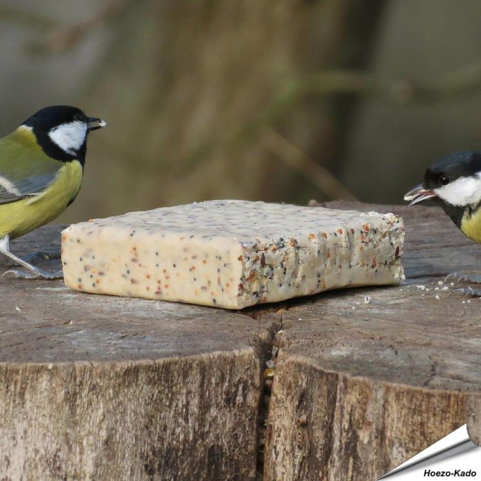 Energieblock - Fettblock mit Insekten für Wildvögel
