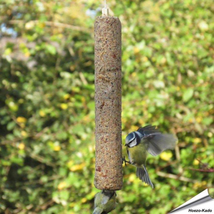 Energiereiche Futterrolle für Wildvögel ✔️ Mit proteinreichen Garnelen ✔️ Direkt verfüttern mit integriertem Tau ✔️ Ganzjährig Vögel füttern ➤ Bestelle Futter online bei Alles für Vögel
