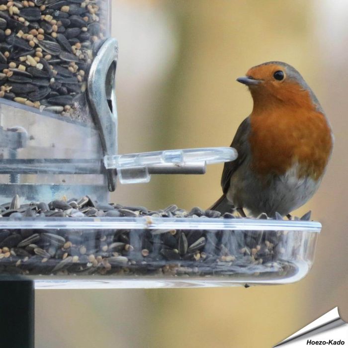 Auffangschale für Futtersäulen | 210mm | Alles für Vögel
