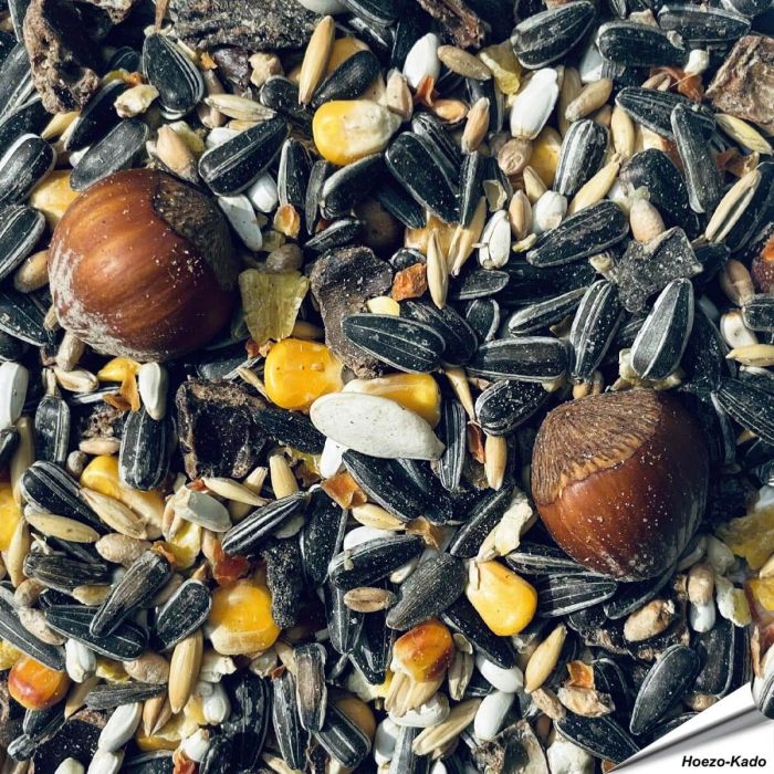 Spezialfutter für Eichhörnchen ✔️ Vielfältig und gehaltvoll ✔️ Artgerechte Ernährung für Eichhörnchen und sibirische Streifenhörnchen ➤ Online kaufen bei Alles für Vögel