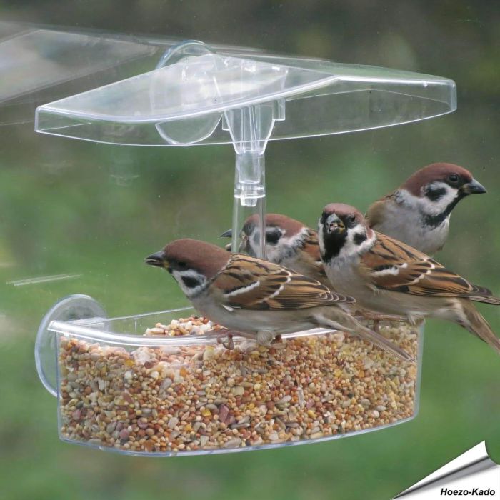 Fensterfutterhaus OnLooker