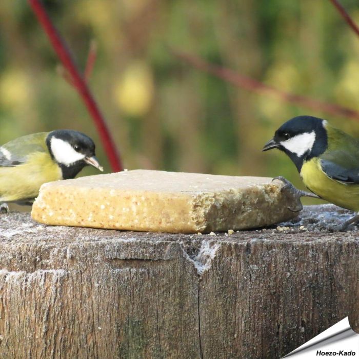 MultiPack XL - Vegetarischer Energieblock für Wildvögel