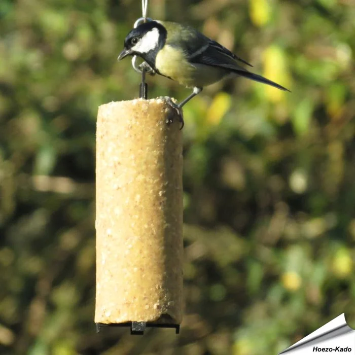 Vegetarische Energiekuchen von Aniculis für Wildvögel ✔️ Kalorien- und proteinreiches Wildvogelfutter ✔️ Rein pflanzlich - ohne Palmöl ✔️ Jetzt bestellen bei Alles für Vögel