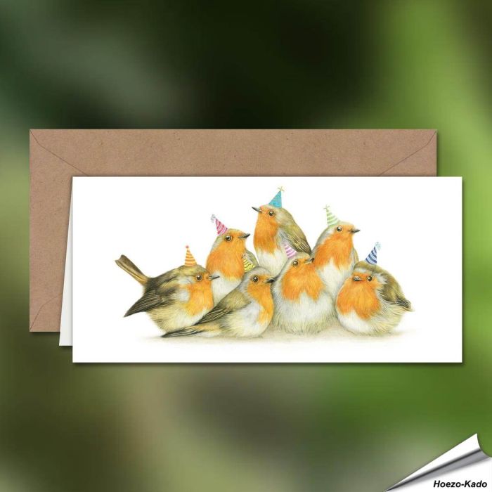 Geburtstagskarte - Mit Rotkehlchen-Motiv - Von Hand gezeichnet - www.allesfuervoegel.de