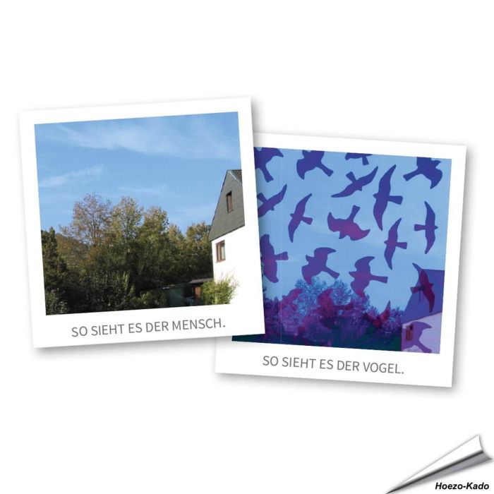 Birdsticker | Scheibenaufprall Wildvögel | Alles für Vögel