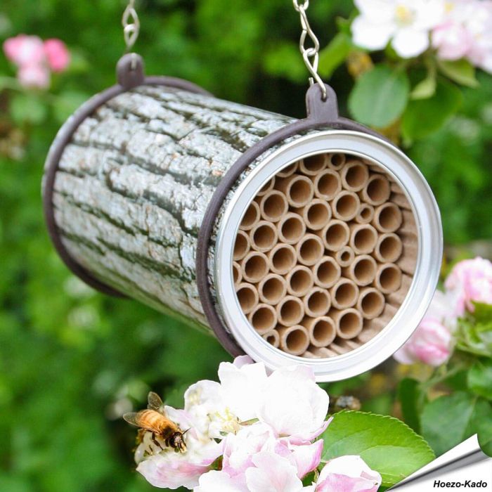 The Pollinating Company - Bienenhaus