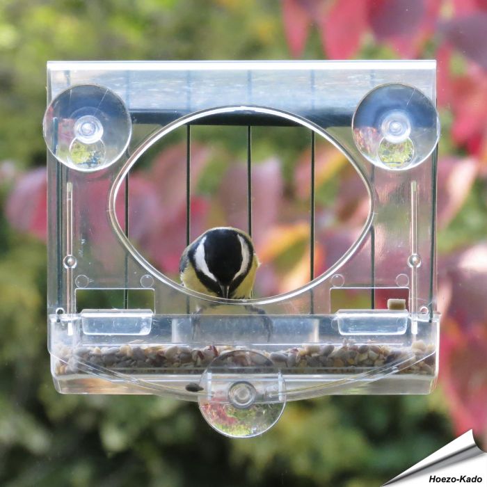 Transparentes Vogelfutterhaus mit Schutzkorb für ans Fenster ✔️ Einfache Montage - Sicherer Halt dank 3 starken Saugnäpfen ✔️ Vögel beobachten ➤ Kaufe bei Alles für Vögel