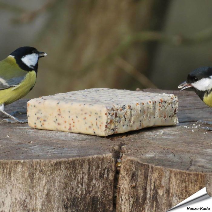 Energieblock mit getrockneten Insekten