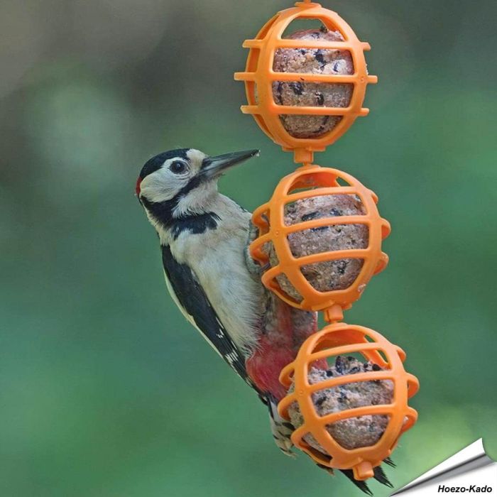 Robuster, dreifacher Meisenknödelspender für Wildvögel ✔️ Einfach zu befüllen & aufzuhängen ✔️ Für Meisenknödel ohne Netz ➤ Alles für Vögel Webshop