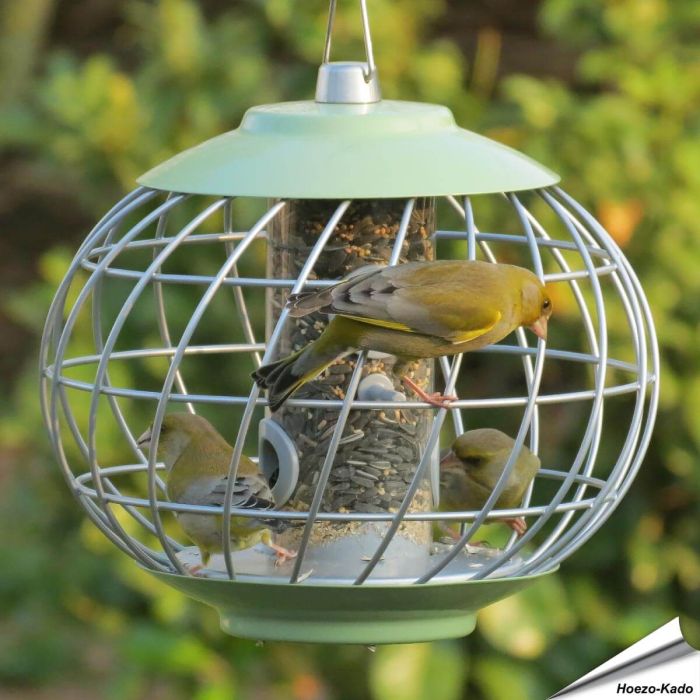 Helix-Samensäule mit kugelförmigem Schutzkorb - grün ✔️ Absolut sicher gegen grosse Vögel ✔️ Optimal für Sämereien und Sonnenblumenkerne ➤ Kaufe bei Alles für Vögel