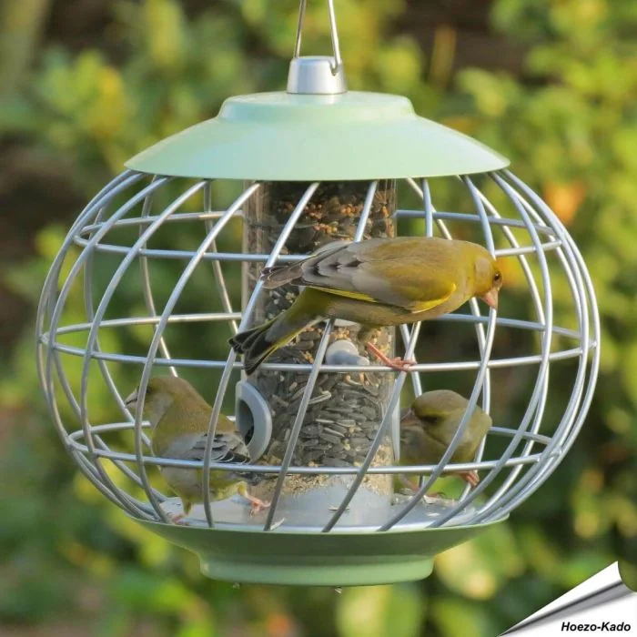 Helix-Samensäule mit kugelförmigem Schutzkorb - grün ✔️ Absolut sicher gegen grosse Vögel ✔️ Optimal für Sämereien und Sonnenblumenkerne ➤ Kaufe bei Alles für Vögel