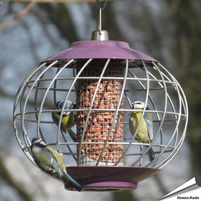 Futtersäule Helix für Erdnüsse - Mit Schutzkäfig - www.allesfuervoegel.de