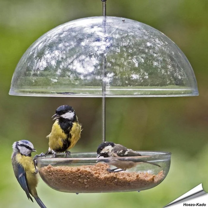 I love Robins - Hängendes Futterhaus
