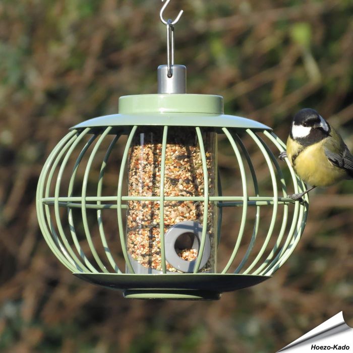 Futterlaterne für Saatkörner mit Schutzkäfig | Grün | Alles für Vögel