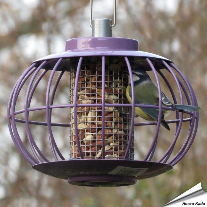 Futterlaterne für Erdnüsse mit Schutzkäfig | Aubergin | Alles für Vögel