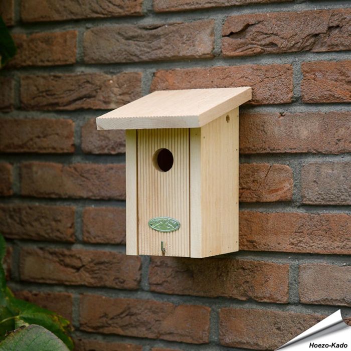 Nistkasten Zaunkönig