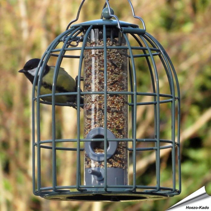 Futtersäule Compact für Samen mit Schutzkorb | Grün | Alles für Vögel