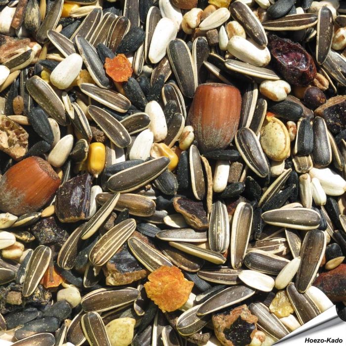 Premium-Eichhörnchenfutter für einheimische Eichhörnchen und sibirische Streifenhörnchen ✔️ Reichhaltige, rein pflanzliche Mischung ✔️ Mit wertvollen Vitaminen und Mineralstoffen ➤ Bestelle bei Alles für Vögel