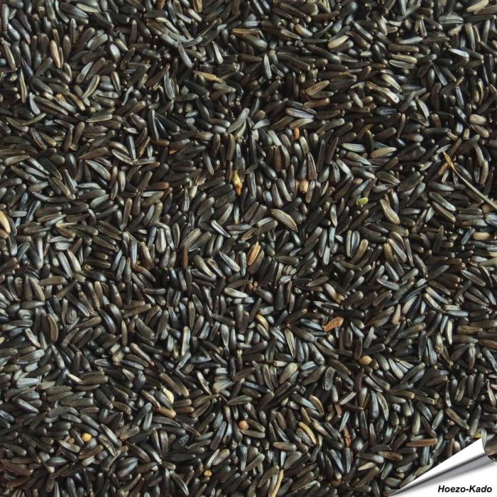 Niger-Samen für viele verschiedene Vogelarten ✔️ Hohen Gehalt an Fett und Eiweiß ✔️ Hochwertiges Einzelfuttermittel für Wildvögel ✔️ Direkt online bestellen bei Alles für Vögel