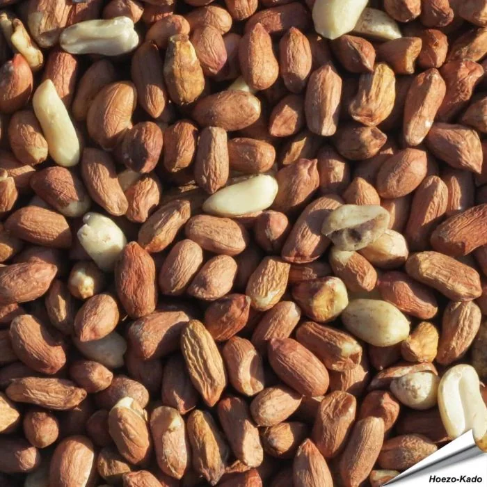 Premium Erdnüsse (1 kg)