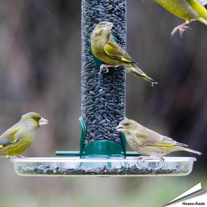 Ring-Pull - MINI Auffangschale für Futtersäulen (215mm)