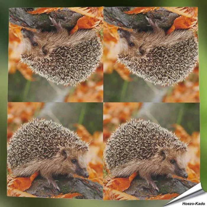 Servietten - Igel (20 Stück)