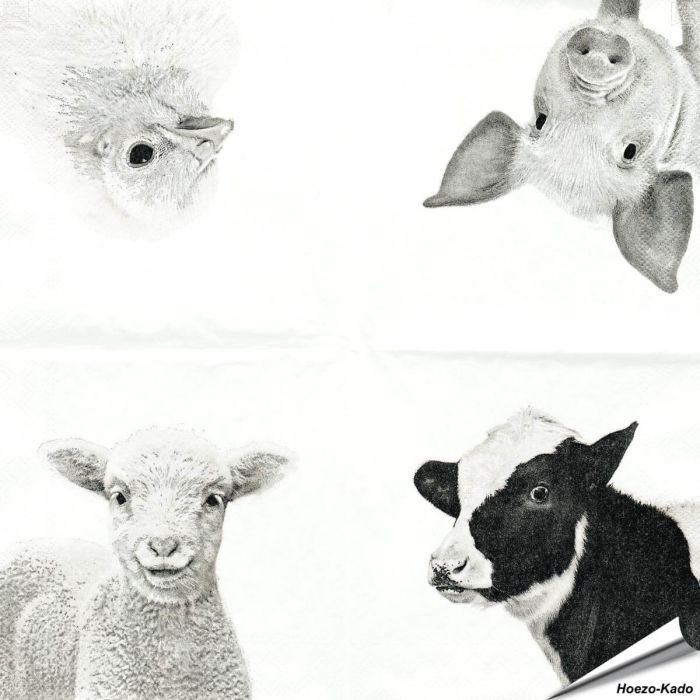 Hochwertige 3-lagige Servietten mit Bauernhoftieren-Motiv ✔️ Bringe das Landleben auf den Tisch ✔️ FSC-zertifiziert, biologisch abbaubar ➤ Bestelle bei Alles für Vögel