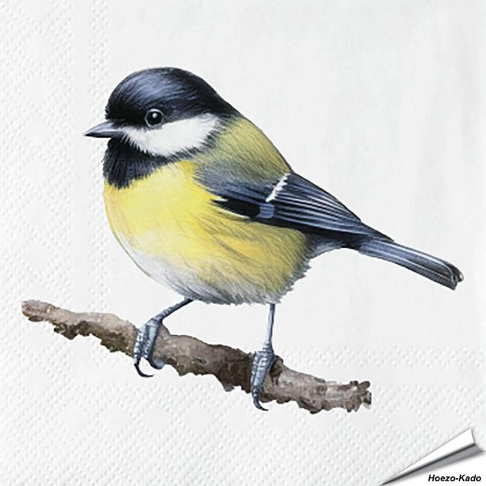 Servietten - Kohlmeise - Motiv | 20 Stück | Alles für Vögel