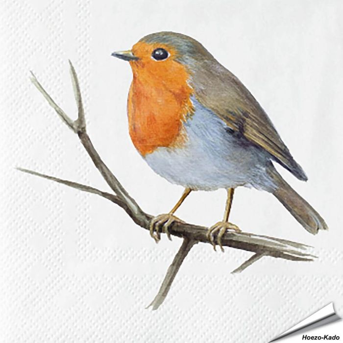 Servietten - Rotkehlchen - Motiv | 20 Stück | Alles für Vögel