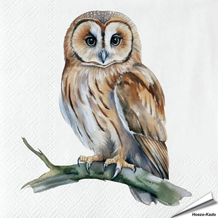 Servietten - Waldkauz - Motiv | 20 Stück | Alles für Vögel