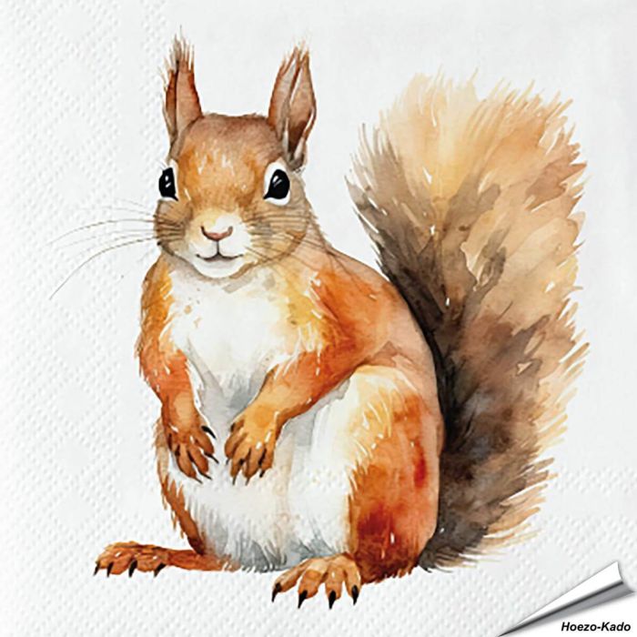 Eichhörnchen-Servietten von Esschert Design | Alles für Vögel