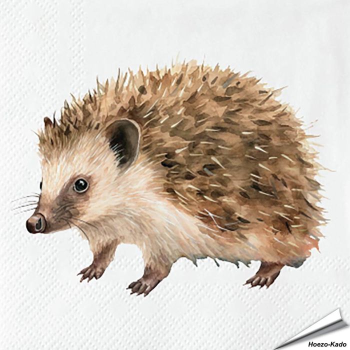 Igel-Servietten von Esschert Design | Alles für Vögel