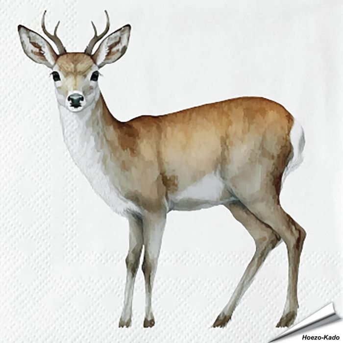 Servietten - Reh-Motiv | 20 Stück | Alles für Vögel