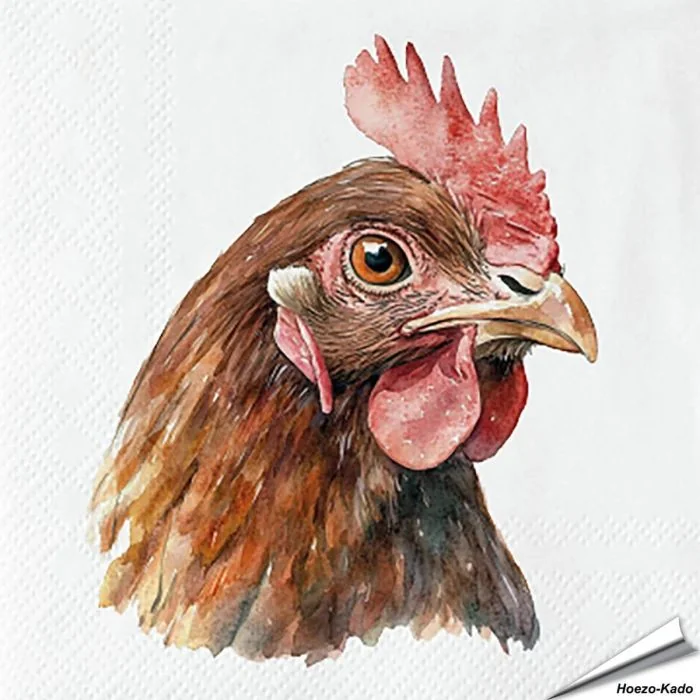 Servietten - Haushuhn | FSC-Papier | Alles für Vögel
