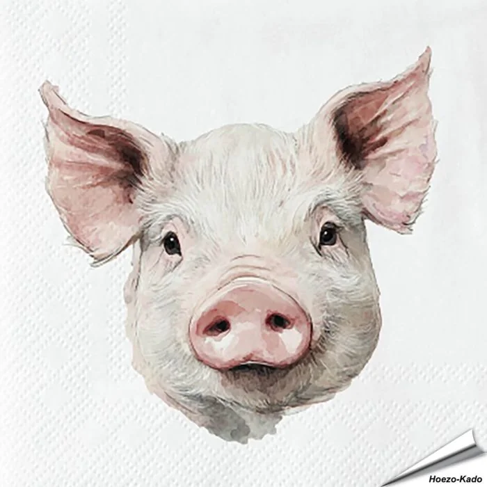Hochwertige 3-lagige Servietten mit Schweinchen-Motiv ✔️ Bringe das Landleben auf den Tisch ✔️ FSC-zertifiziert, biologisch abbaubar ➤ Bestelle bei Alles für Vögel