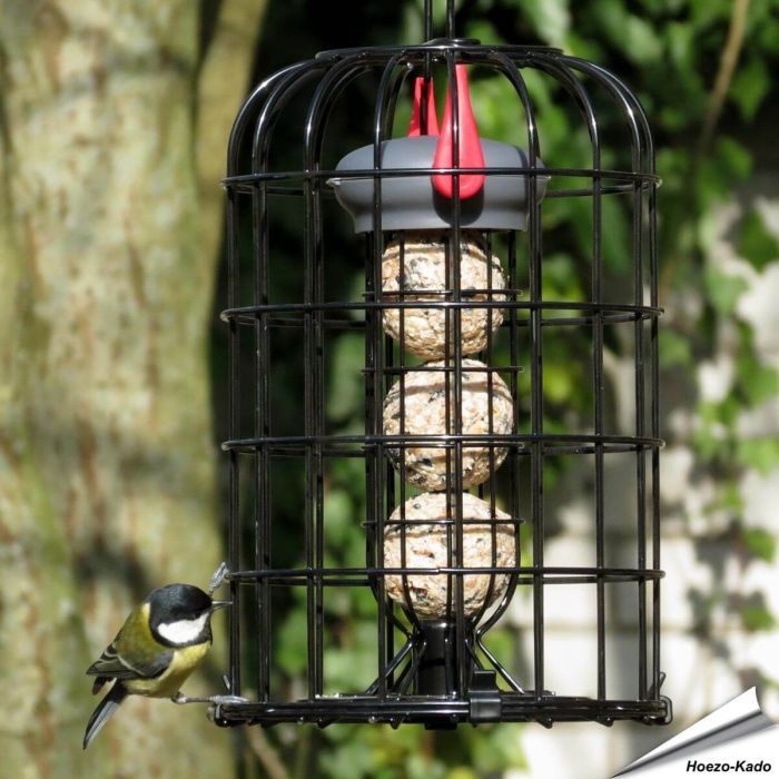 Meisenknödelhalter mit Schutzkorb & Premium - Insektenfettknödel (8 x 90g)