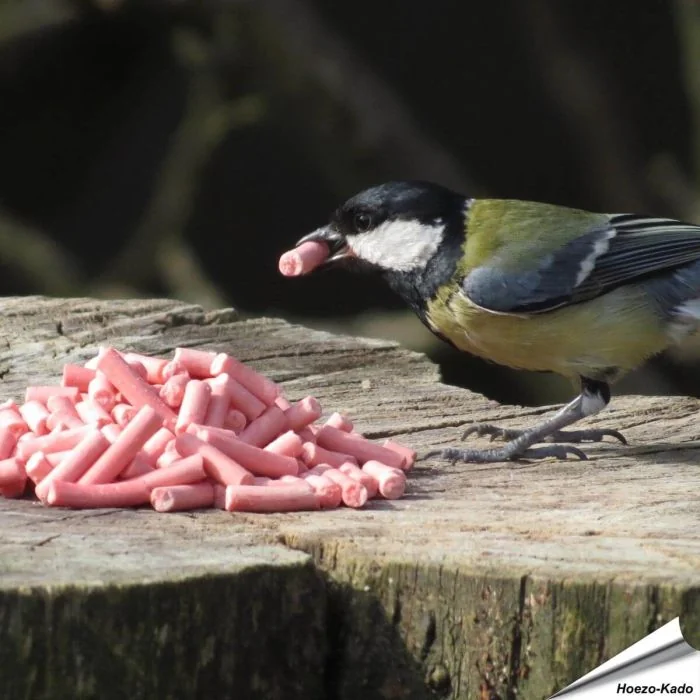 Leckerbissen mit Beeren für Wildvögel - www.allesfuervoegel.de