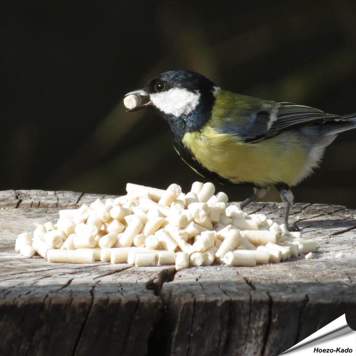 Energiereiche Mehlwurm-Leckerbissen für Gartenvögel ✓ Ganzjährige Wildvogelfütterung ✓ Delikatesse für Gartenvögel ✓ Online kaufen bei www.allesfuervoegel.de