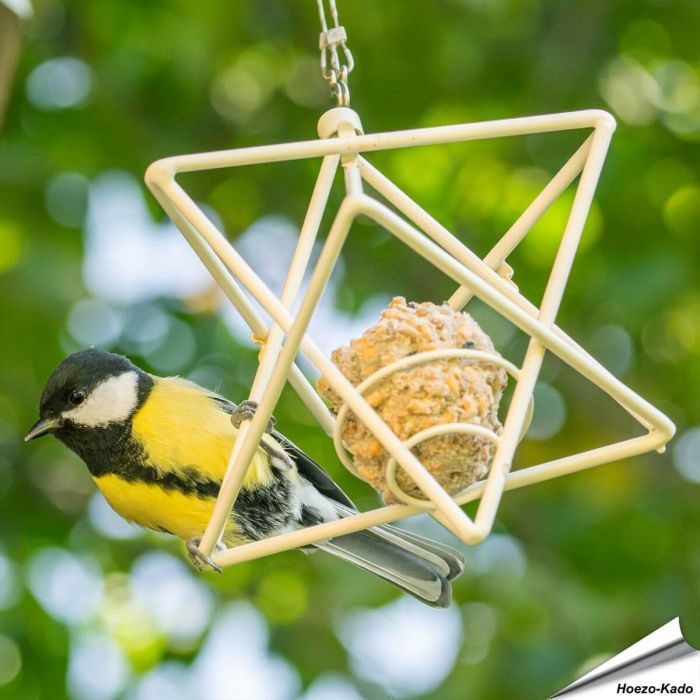 Meisenknödelspender - Stern (weiss)