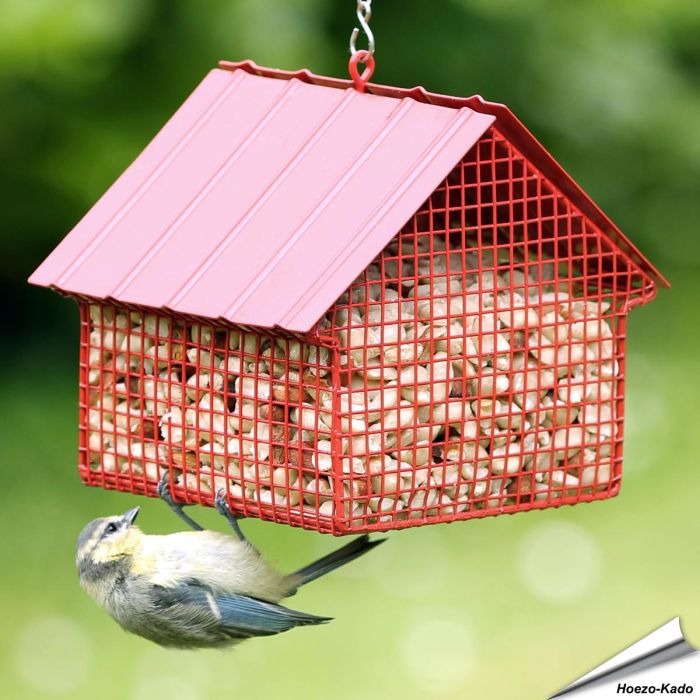 Erdnuss-Futterspender (rot)