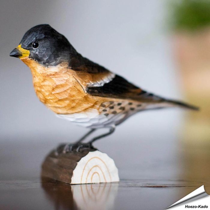 Bergfink (Fringilla montifringilla) | Handgeschnitzt | Online kaufen - Alles für Vögel