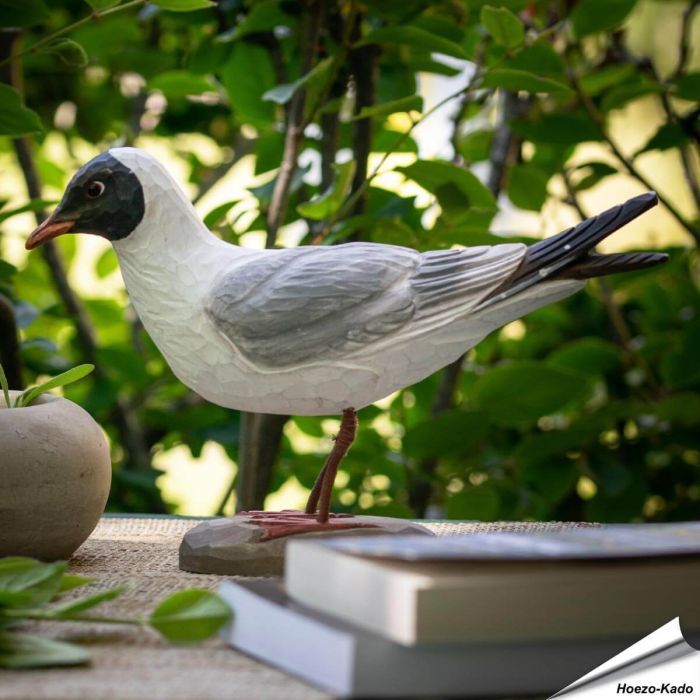 Realistische, handgeschnitzte Lachmöwe ✔️ Mit ungiftigen Farben naturgetreu bemalt ✔️ Originelles Geschenk für Vogel- und Naturliebhaber ✔️ Kaufe online bei Alles für Vögel