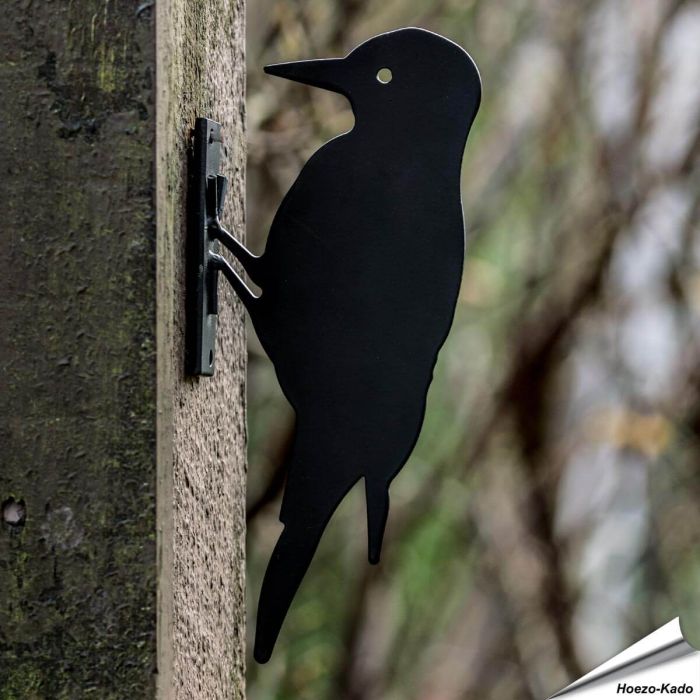 Schattenriss - Specht