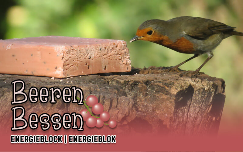 Energieblock mit Beeren von Aniculis Energieblock mit Beeren von Aniculis